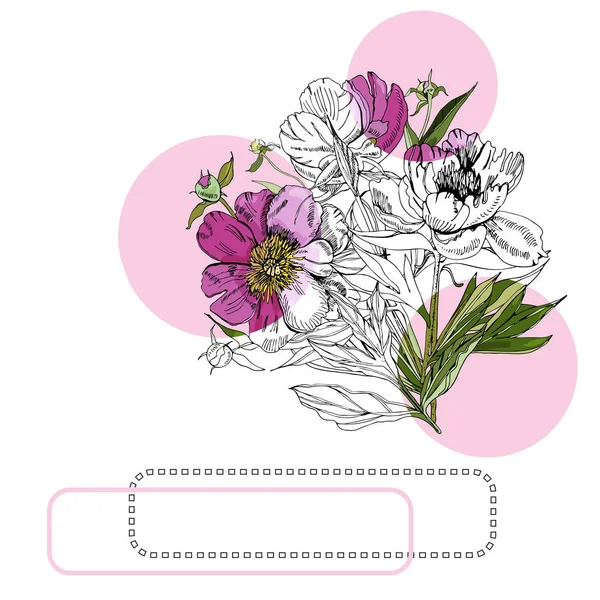 ピオニーの花、ピンクの円とフレームの花束とコレクション。手描きのインクとピオニーの色付きスケッチ。バナー、招待状、グリーティングカードの白い背景に分離された色付きの要素. — ストックベクタ