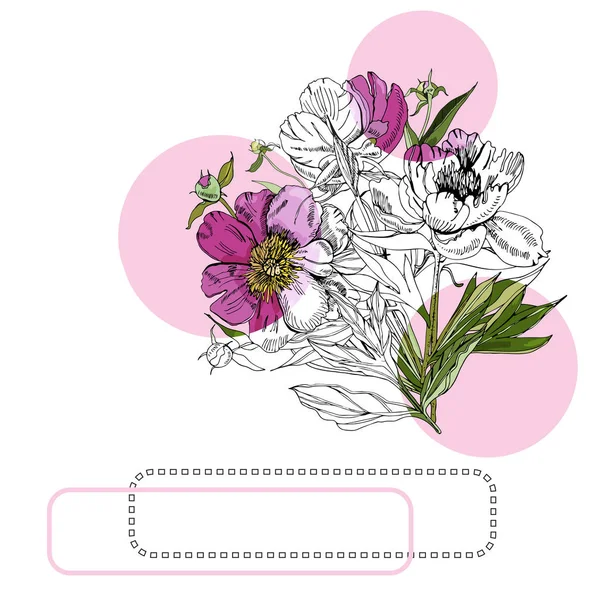 Colección con ramo de flores de peonía, círculos rosados y marcos. Tinta dibujada a mano y boceto de color de peonía. Elementos de color aislados sobre fondo blanco para banner, invitación o tarjeta de felicitación . — Vector de stock