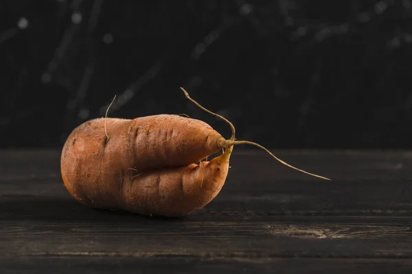 Ugly vegetable carrot