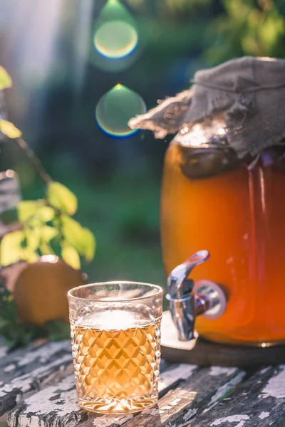 Kombucha tea drink — Stock Photo, Image