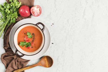 Domates, biber, sarımsak ve fre ile İspanyol soğuk gazpacho çorbası