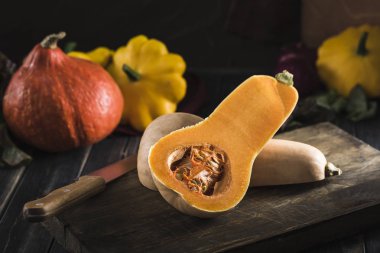 Kabak, patlıcan, biber, izmarit taze hasat sebze