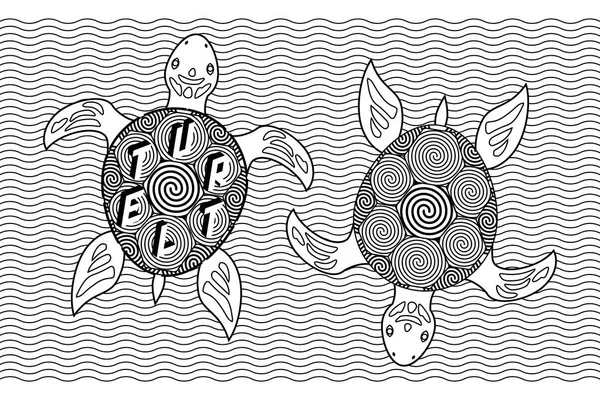 Schwarz-weißes Malbuch mit Vektorschildkröten — Stockvektor