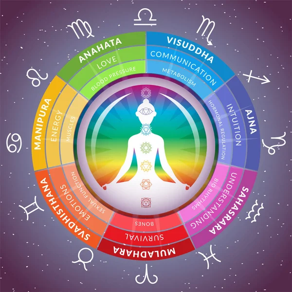 Yoga chakras infográficos com menina meditando dentro do circuito com horóscopo sinais de zodíaco no fundo do espaço estrelado — Vetor de Stock