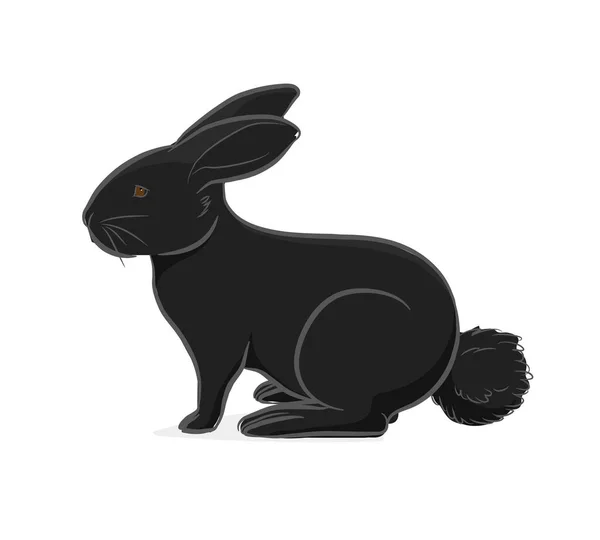 Black Rabbit Vector Illustration — Stock Vector
