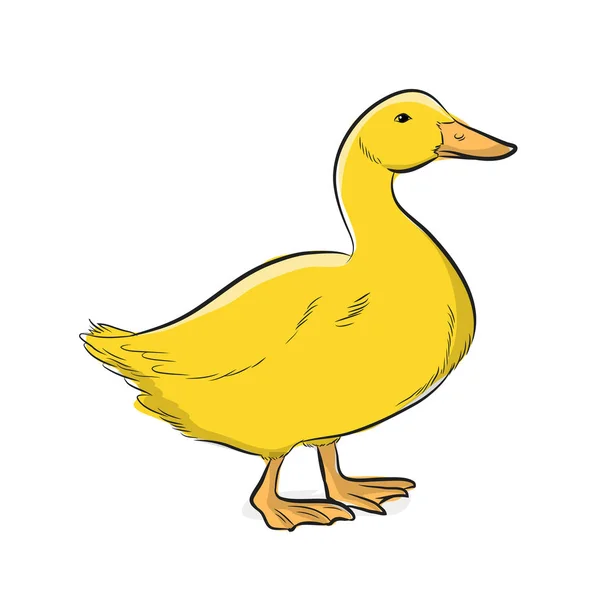 Ilustração Vetor Pato Amarelo — Vetor de Stock