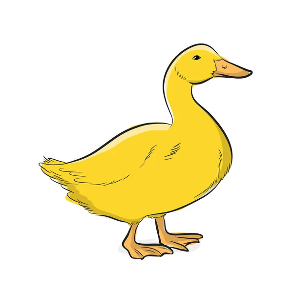 Pato Amarillo Vector Ilustración — Archivo Imágenes Vectoriales