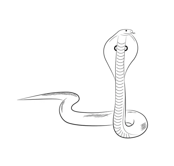 Cobra Serpiente Dibujo Vector Ilustración — Archivo Imágenes Vectoriales