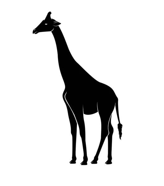 Illustrazione Vettoriale Giraffa Silhouette — Vettoriale Stock