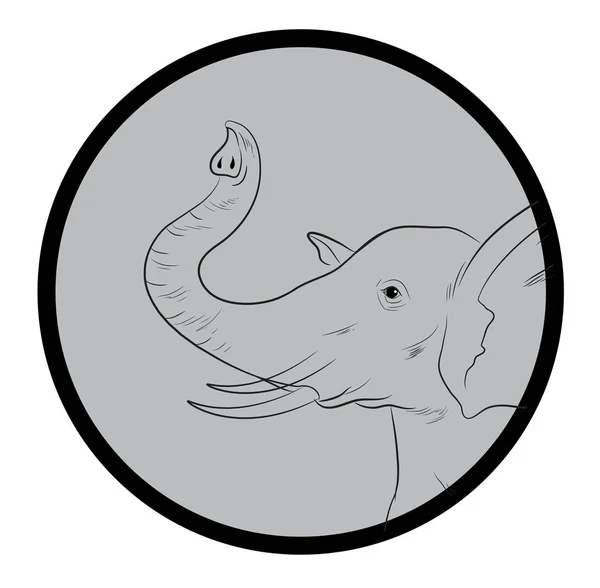 Elephant Face Närbild Vektor — Stock vektor