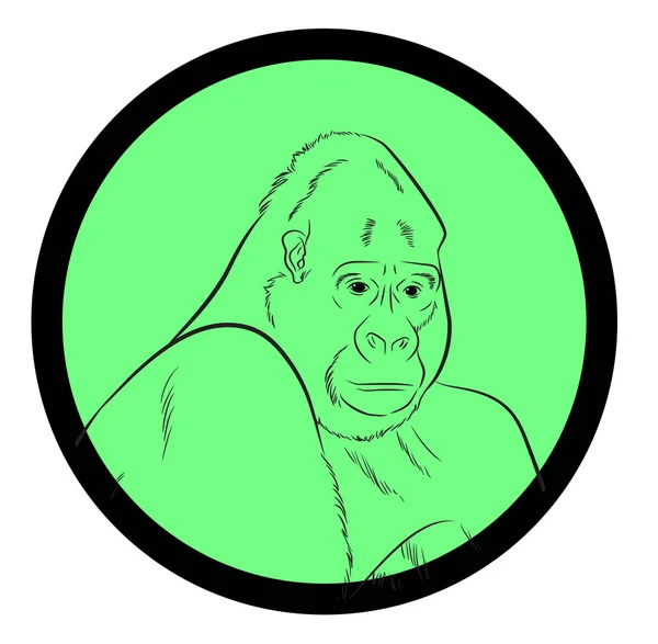 Gorilla Gezicht Close Vector — Stockvector