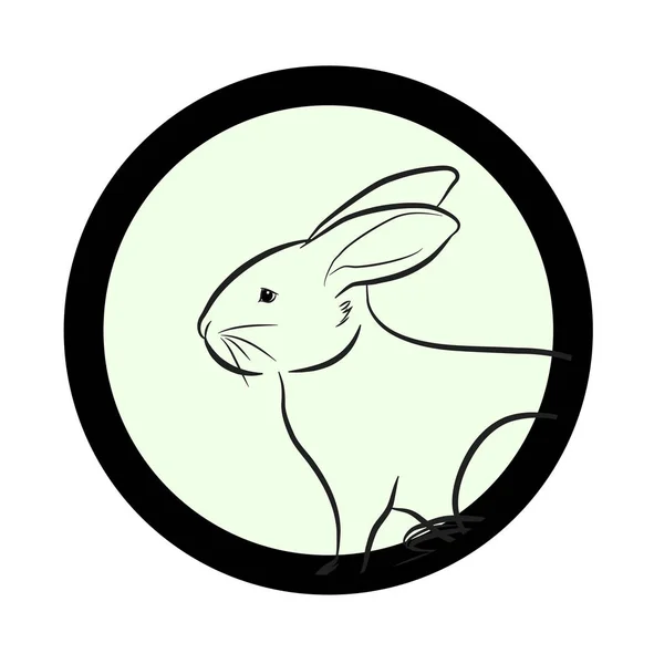 Bunny Face Drawing Closeup Vector — Stock Vector