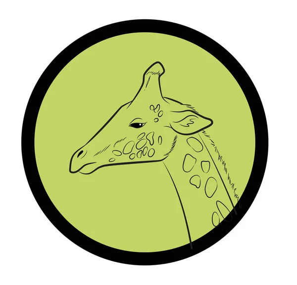Giraff Face Närbild Vektor — Stock vektor
