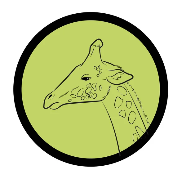 Giraffe Gezicht Close Vector — Stockvector