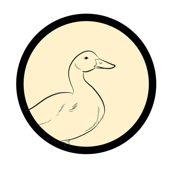 Vecteur Dessin Vintage Canard — Image vectorielle