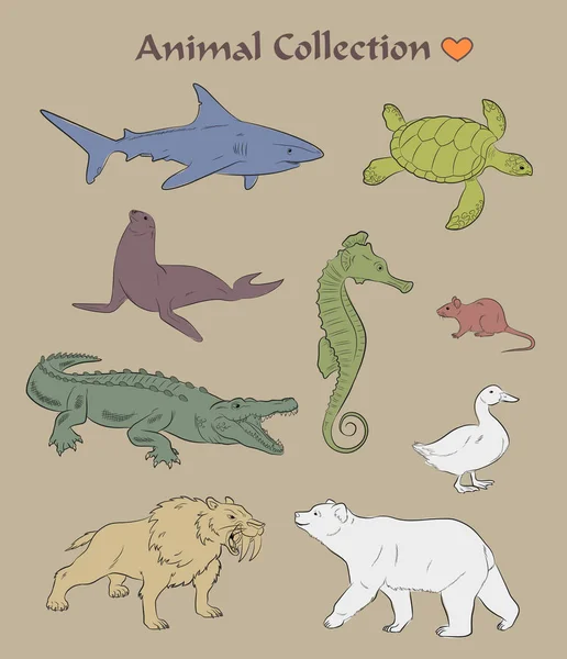 Colección Animales Silvestres Vector — Vector de stock