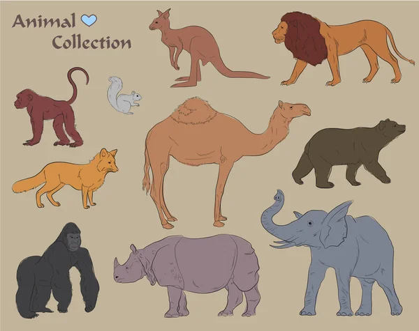Conjunto de varios animales salvajes Vector Ilustración — Vector de stock