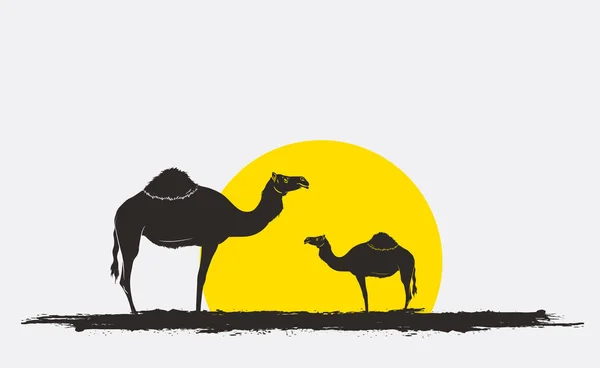 Silhuetas de camelo em Sunrise Vector — Vetor de Stock