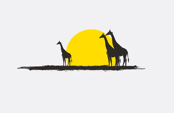 Дикая Жирафа гуляет по полю в векторе времени восхода солнца — стоковый вектор