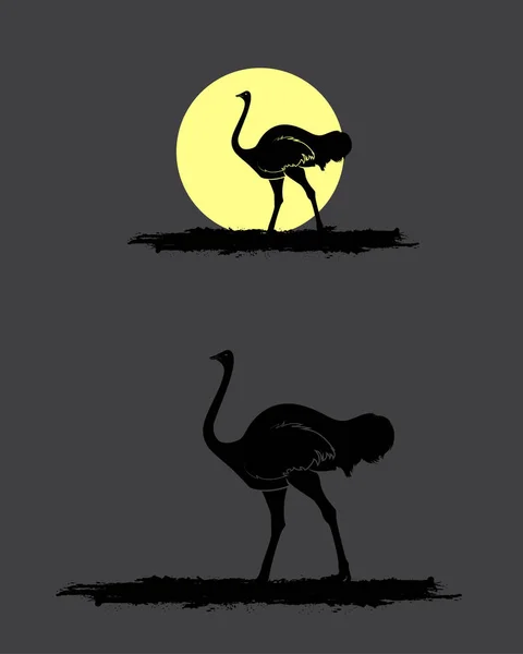 Ensemble vectoriel Silhouettes d'oiseaux d'autruche — Image vectorielle