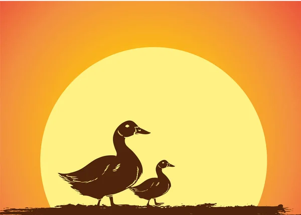 Πάπια πουλιά σιλουέτες σε Sunrise διάνυσμα — Διανυσματικό Αρχείο