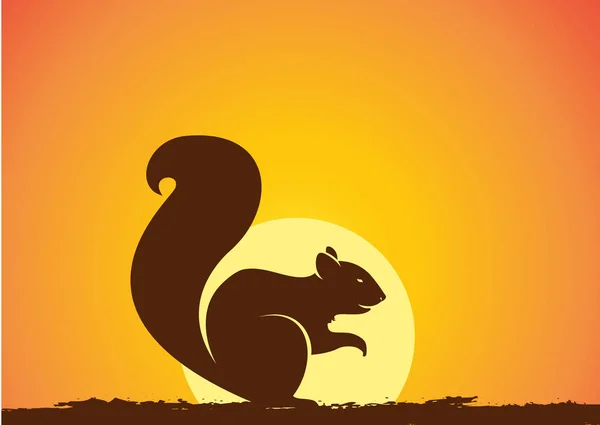 Silhouette d'écureuil dans le vecteur de coucher de soleil — Image vectorielle