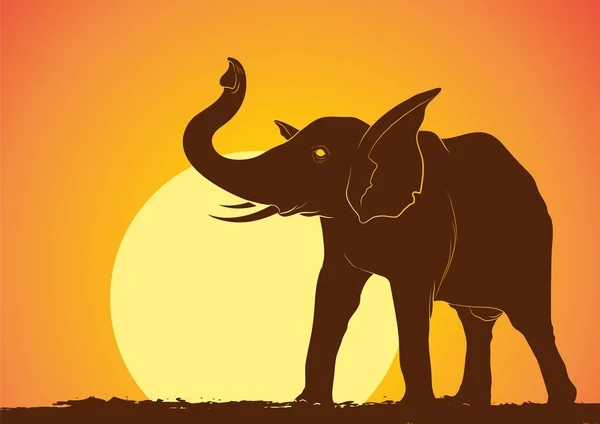 Silhouette d'éléphant sauvage dans le vecteur de coucher de soleil — Image vectorielle