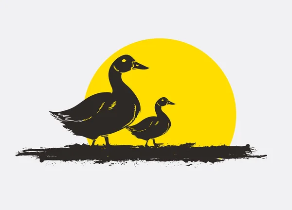 Silhouettes d'oiseaux canards dans le vecteur de coucher de soleil — Image vectorielle