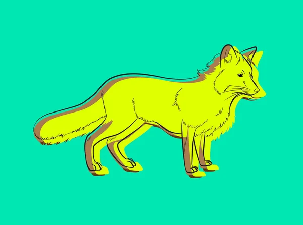 Cartoon Fox Zeichnung mit Farbvektor gefüllt — Stockvektor