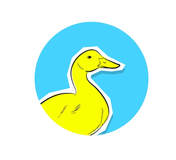 Canard visage Closeup Vector — Image vectorielle