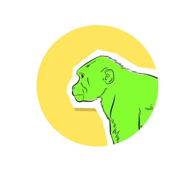 Chimpansee gezicht close-up Vector — Stockvector