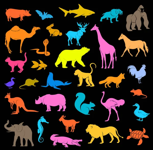 Conjunto de formas y siluetas de mamíferos zoológicos de varios colores — Vector de stock