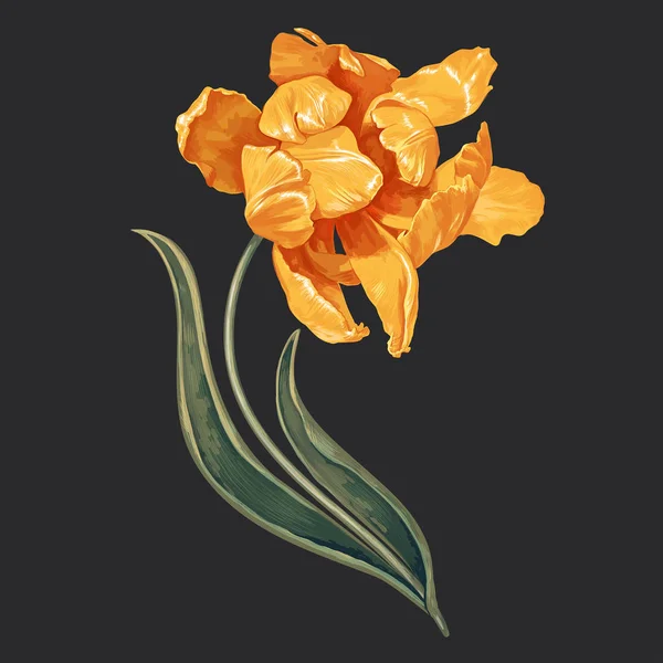 Ilustración vectorial con tulipán amarillo. Estilo realista . — Archivo Imágenes Vectoriales