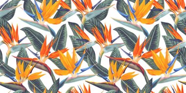 ,Tropik çiçekler ve Strelitzia yaprakları ile Dikişsiz desen, vinç çiçek veya cennet kuş denir. 