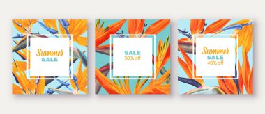 Tropikal çiçekler ile Yaz satış afiş - Strelitzia, parlak renklerle arka planda.