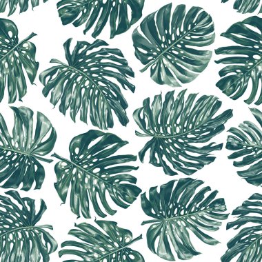 Gerçekçi tarzı ve yüksek detay monstera yaprakları ile Dikişsiz desen.