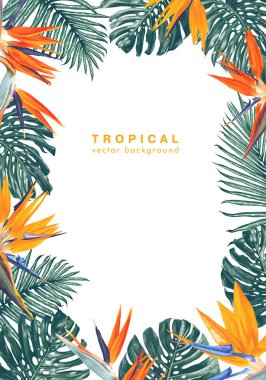 Tropik bir bitki Strelitzia Reginae yaprakları ve çiçekleri oluşan bir çerçeve ile Yaz arka plan