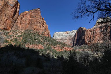 Utah 'taki Zion Ulusal Parkı