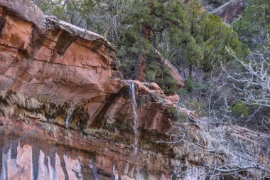 Utah 'taki Zion Ulusal Parkı