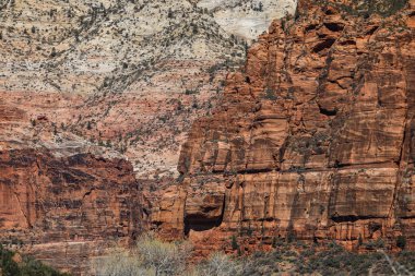 Utah 'taki Zion Ulusal Parkı