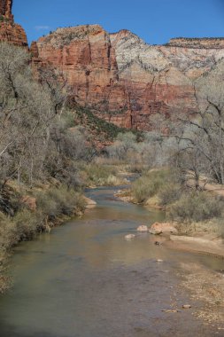 Utah 'taki Zion Ulusal Parkı