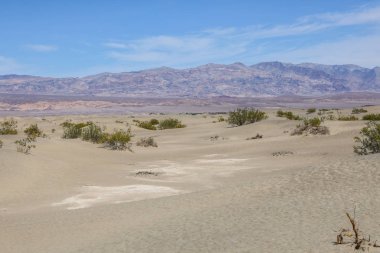 Ölüm Vadisindeki kum tepeleri