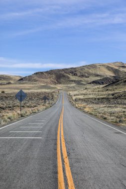 Nevada - ABD yol çöl