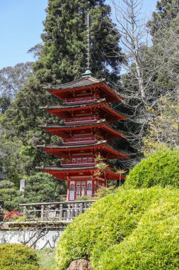 San Francisco 'daki Japon çay bahçesi.