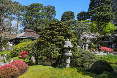 San Francisco 'daki Japon çay bahçesi.
