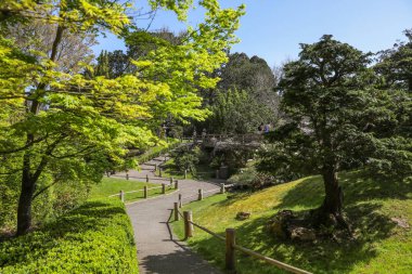San Francisco 'daki Japon çay bahçesi.