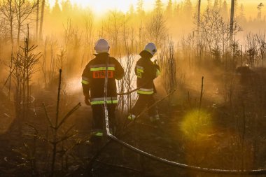 Podczerwone, Polonya - 14.04.2018 bir orman yangın Podczerwone köyü 14.04.2018 Podczerwone, Polonya 