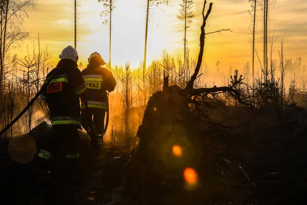 Podczerwone Poland 2018 Ein Waldbrand Podczerwone Dorf 2018 Podczerwone Poland — Stockfoto