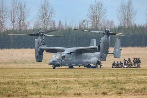 폴란드 2018 Osprey 폴란드에 2018에에서 — 스톡 사진