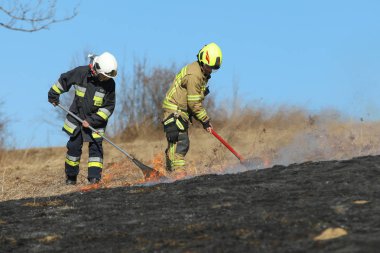 Bialy Dunajec, Polonya - 23.3.2019 Bialy Dunajec, Polonya'da 23.3.2019'da büyük bir ot ve çalı yangını